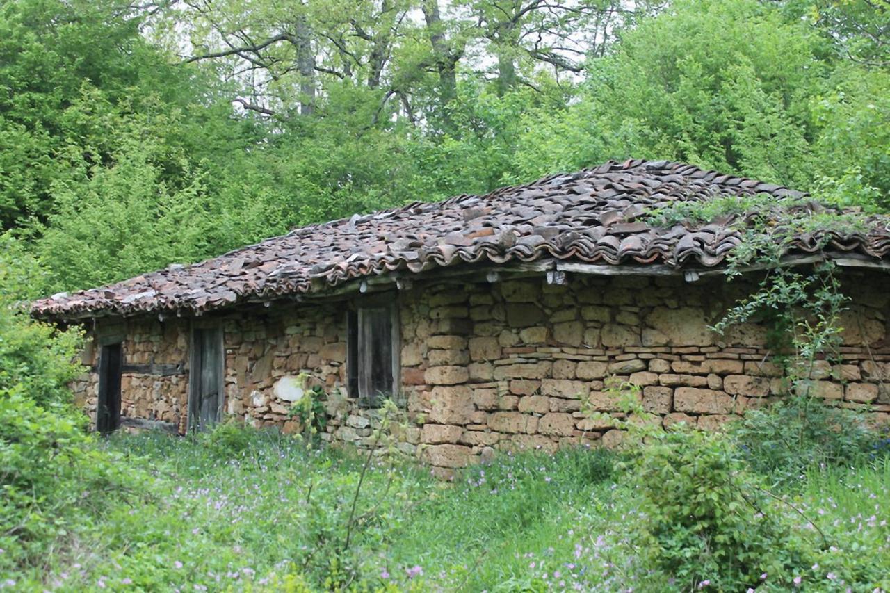 Hunting Residence Asteya Gramatikovo ภายนอก รูปภาพ