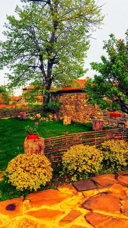 Hunting Residence Asteya Gramatikovo ภายนอก รูปภาพ